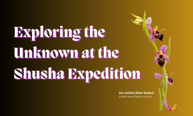 Exploring the Unknown at the Shusha Expedition 2023